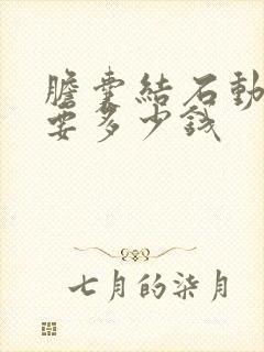 胆囊结石动手术要多少钱