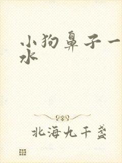 小狗鼻子一直流水