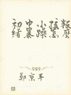 初中小孩叛逆情绪暴躁怎么办