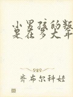 小男孩的叛逆期是在多大年龄