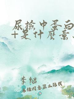 尿检中蛋白质2+是什么意思