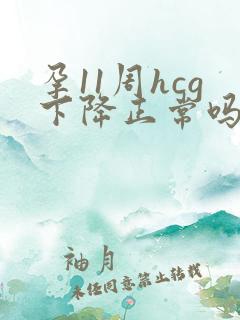 孕11周hcg下降正常吗