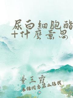 尿白细胞酯酶1+什么意思