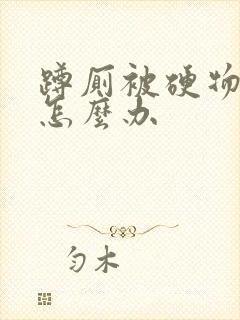 蹲厕被硬物堵了怎么办