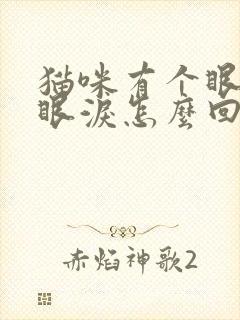 猫咪有个眼睛流眼泪怎么回事