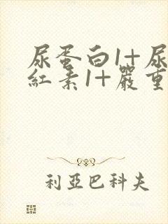 尿蛋白1+尿胆红素1+严重吗