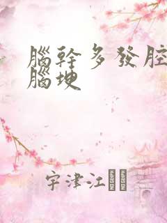 脑干多发腔隙性脑埂