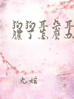 狗狗耳朵耳螨化脓了怎么办