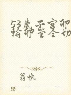 53岁子宫卵巢输卵管全切恢复