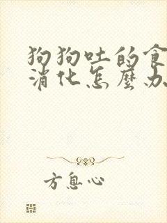 狗狗吐的食物未消化怎么办