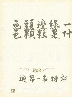 龟头边缘一圈白色颗粒是什么