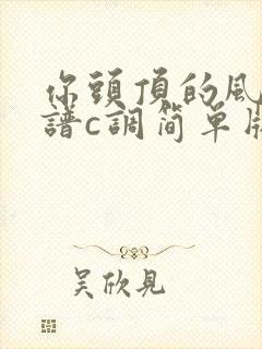 你头顶的风吉他谱c调简单版