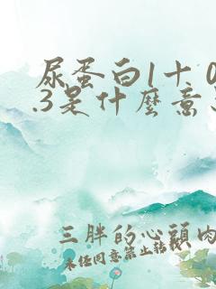 尿蛋白1十 0.3是什么意思