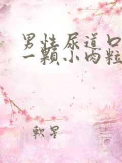 男性尿道口长了一颗小肉粒