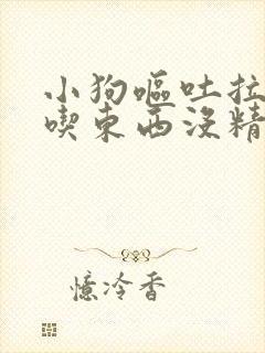 小狗呕吐拉稀不吃东西没精神怎么办