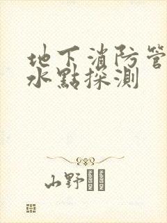 地下消防管网漏水点探测