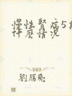 慢性肾病5期是什么情况