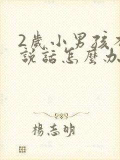 2岁小男孩不会说话怎么办