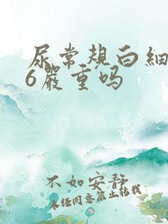 尿常规白细胞26严重吗