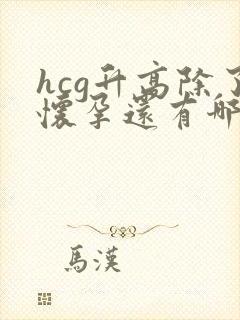 hcg升高除了怀孕还有哪些原因