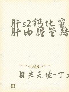 肝s2钙化灶与肝内胆管结石相鉴别