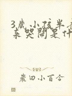 3岁小孩半夜醒来哭闹是什么原因