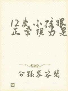 12岁小孩眼睛正常视力是多少