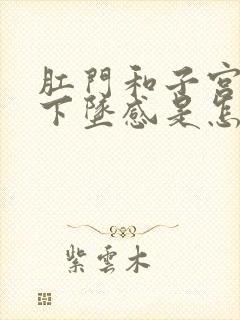 肛门和子宫都有下坠感是怎么回事