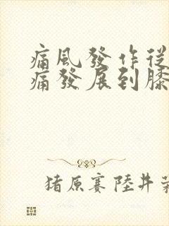 痛风发作从脚踝痛发展到膝盖痛