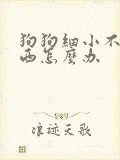 狗狗细小不吃东西怎么办