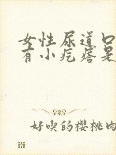 女性尿道口里面有小疙瘩是什么原因