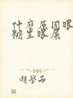 什么原因眼睛模糊生眼屎