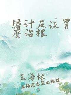 胆汁反流胃炎怎么治根