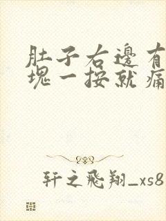 肚子右边有个硬块一按就痛