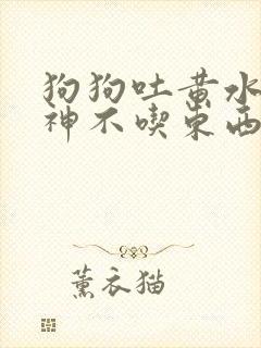 狗狗吐黄水没精神不吃东西怎么办