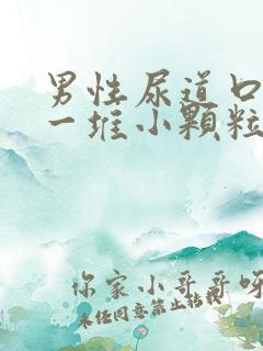 男性尿道口起了一堆小颗粒