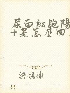 尿白细胞阳性2+是怎么回事