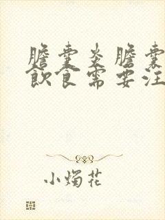 胆囊炎胆囊结石饮食需要注意什么