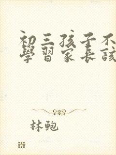 初三孩子不好好学习家长该怎么办