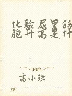 化验尿里的红细胞升高是什么情况