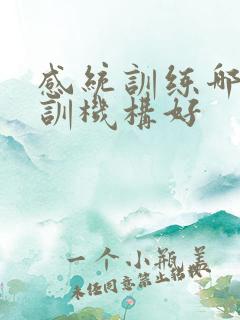 感统训练哪家培训机构好