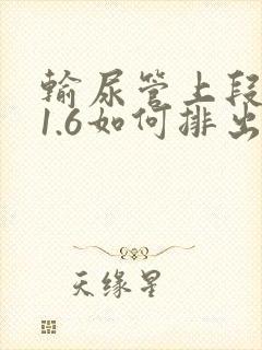 输尿管上段结石1.6如何排出