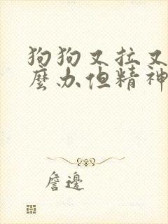 狗狗又拉又吐怎么办但精神很好