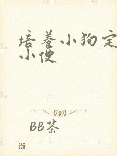 培养小狗定点大小便