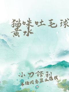 猫咪吐毛球还有黄水