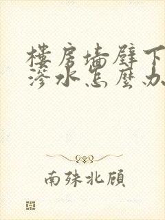 楼房墙壁下雨天渗水怎么办