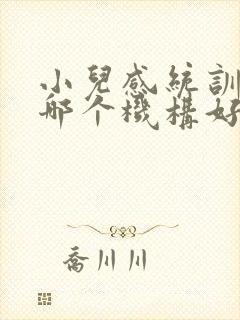 小儿感统训练去哪个机构好