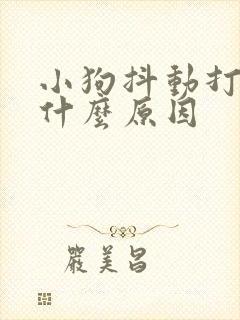 小狗抖动打颤是什么原因