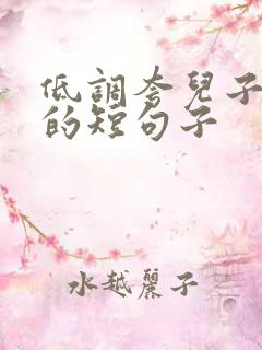 低调夸儿子优秀的短句子