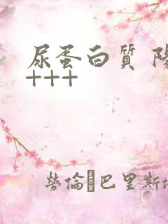 尿蛋白质 阳性+++